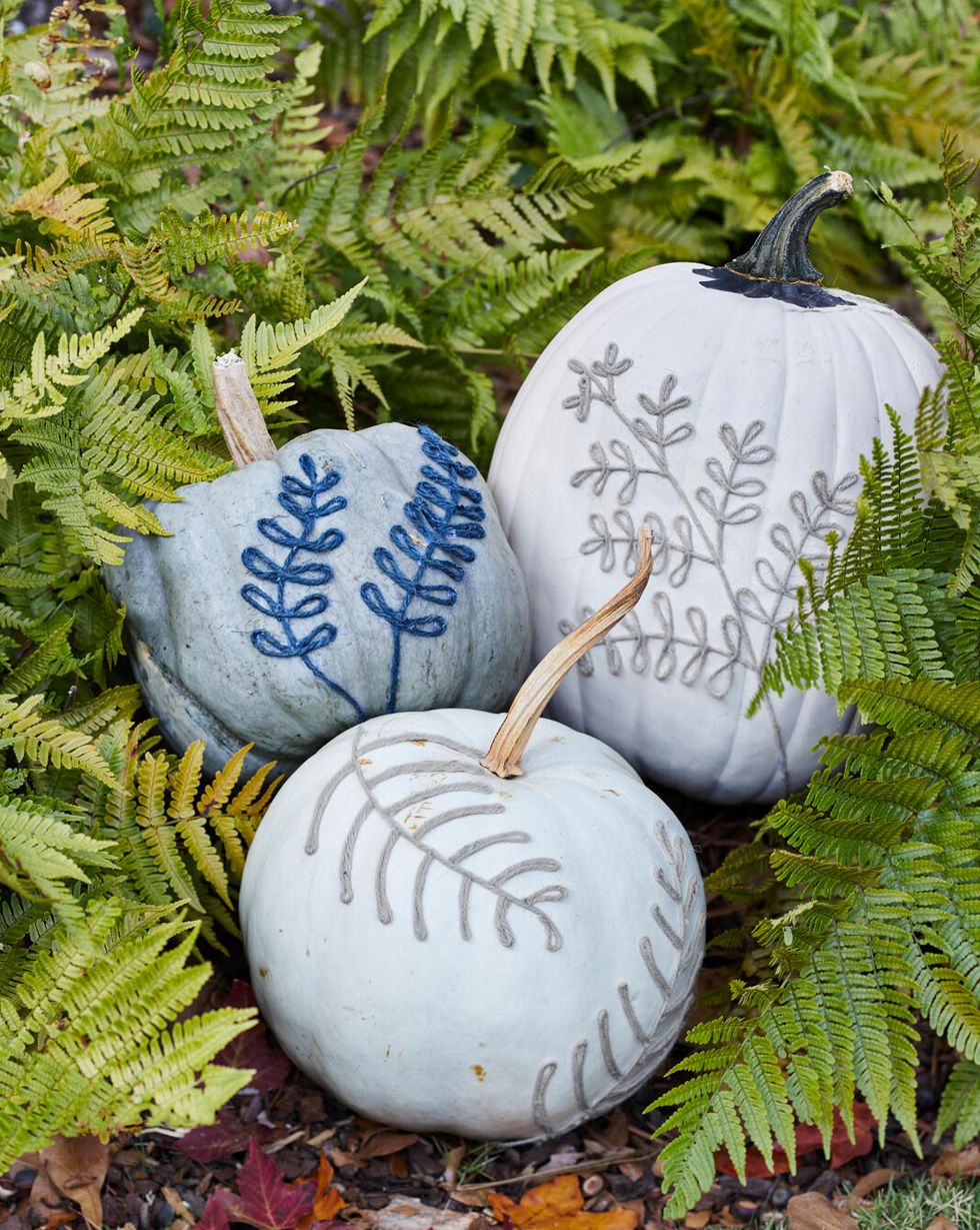 blue and white pumpkins that are decorated with twine in the shape of fern leaves set among ferns in a natural setting