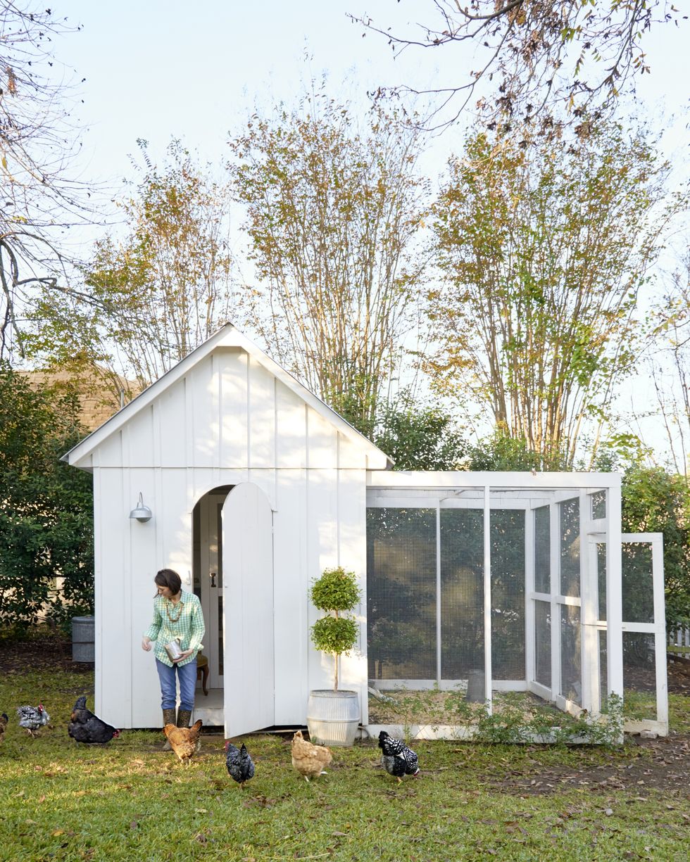 A Simple, White Chicken Coop