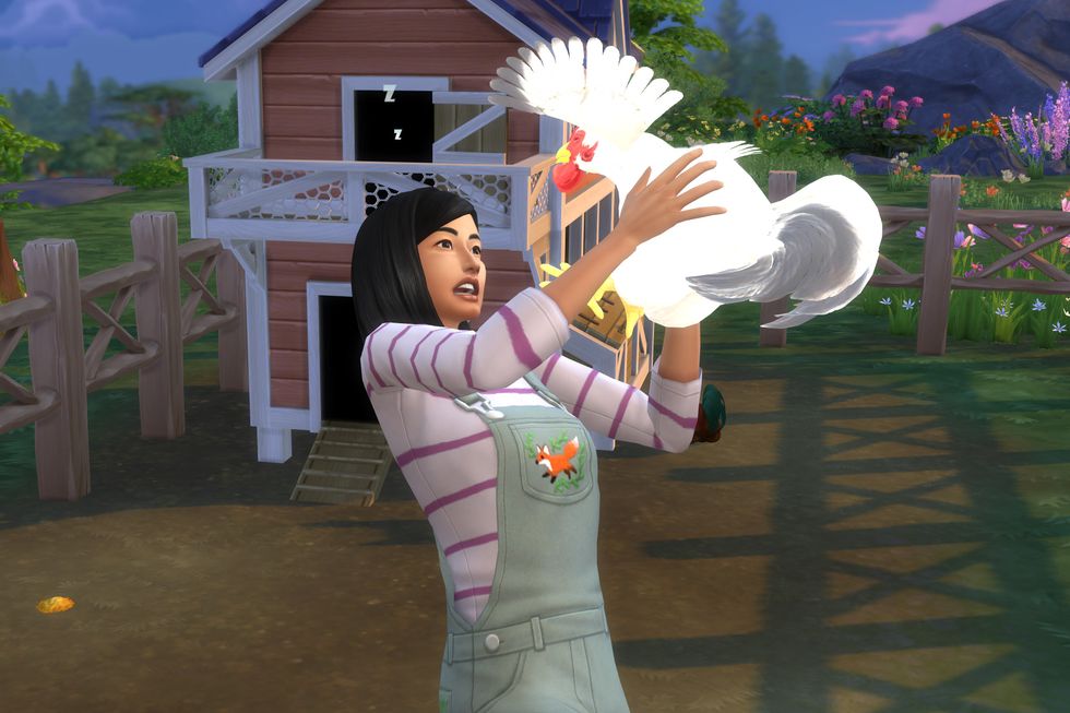 the sims 4 cottage living chicken death