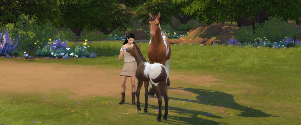 the sims 4 horse ranch