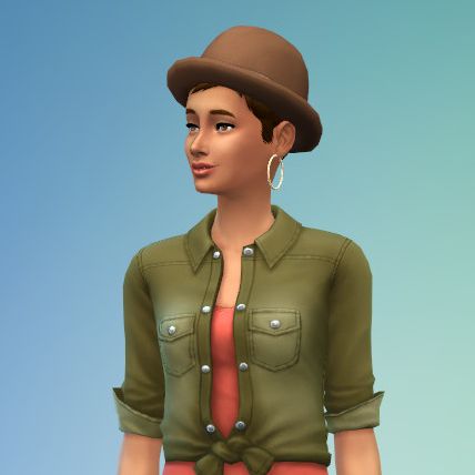 the sims 4  likes and dislikes, hobbies
