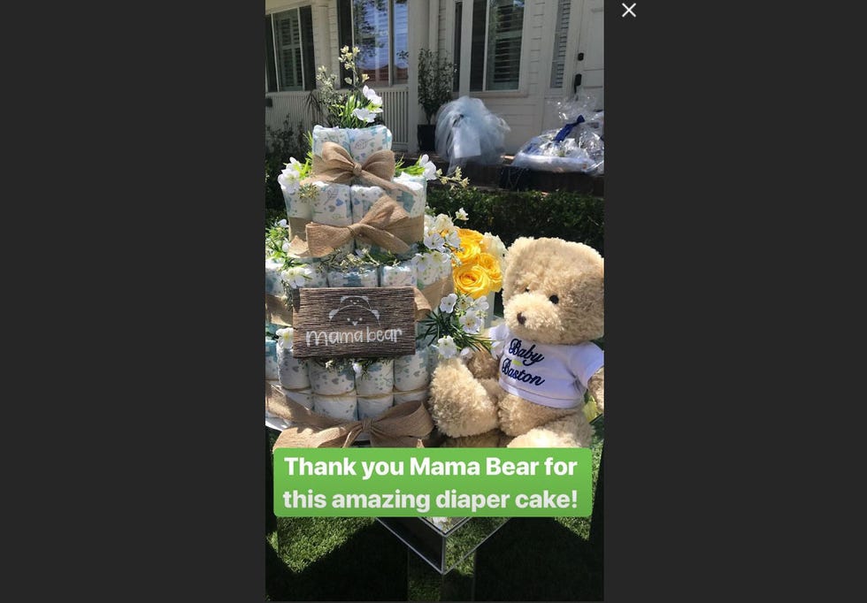 Teddy bear, Rock, Plant, 