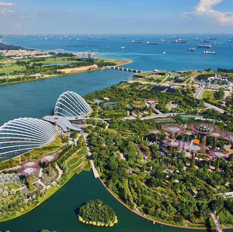 singapore, garden by the bay, supertree grove
