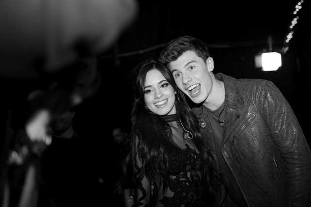 Shawn Mendes and Camila Cabello Tease a New Song Together on Instagram