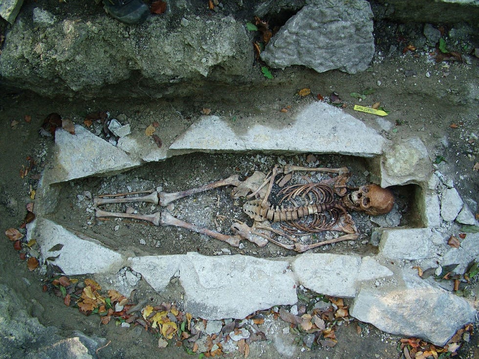 Voor het in Nature beschreven onderzoek werd onder meer het DNA onderzocht van een skelet van een vrouw genaamd Kata dat werd aangetroffen op een Vikingbegraafplaats in het Zweedse Varnhem