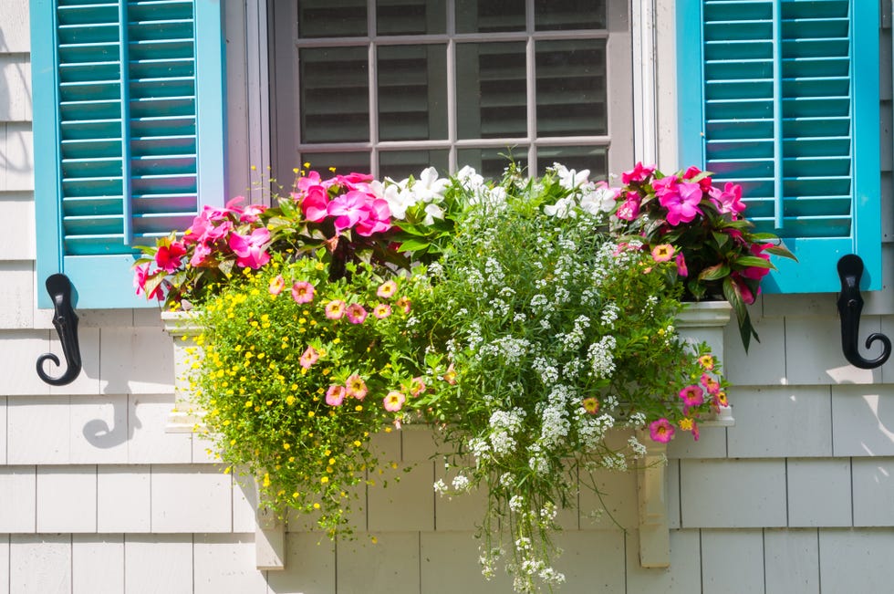 single window garden for backyard ideas