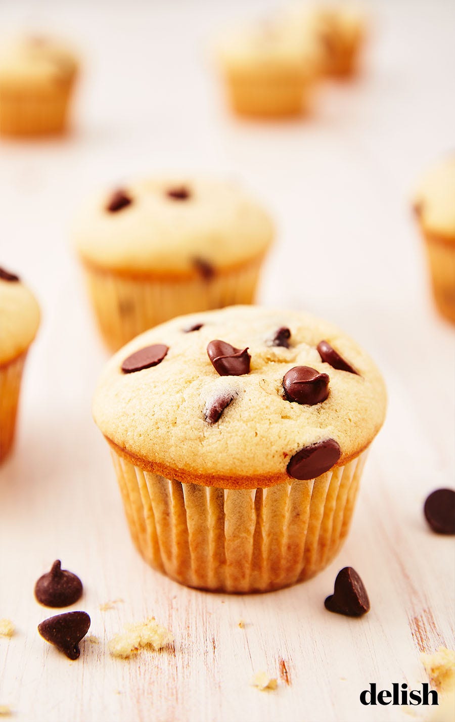 chocolate chip muffins