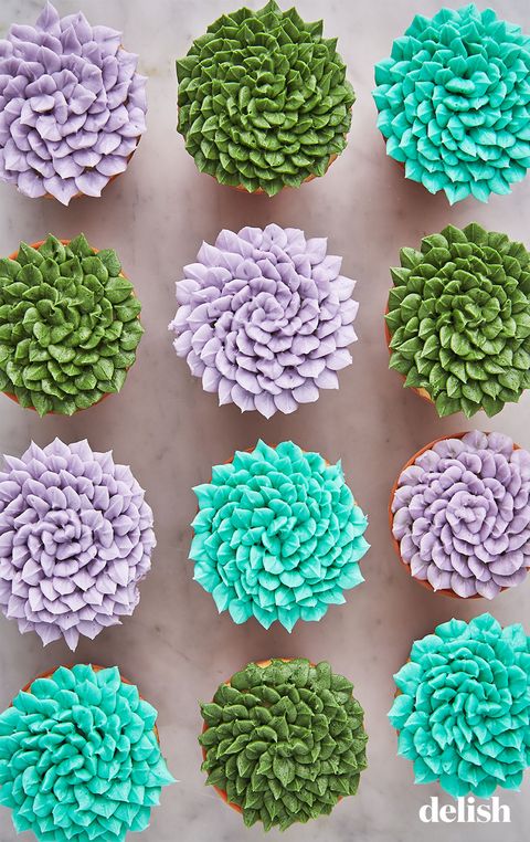 succulent cupcakes delishcom