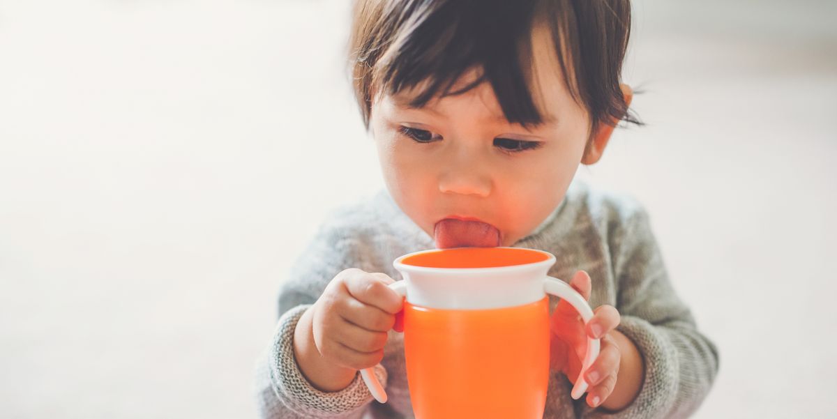 Best Sippy Cups for Toddlers and Babies (Updated 2022)