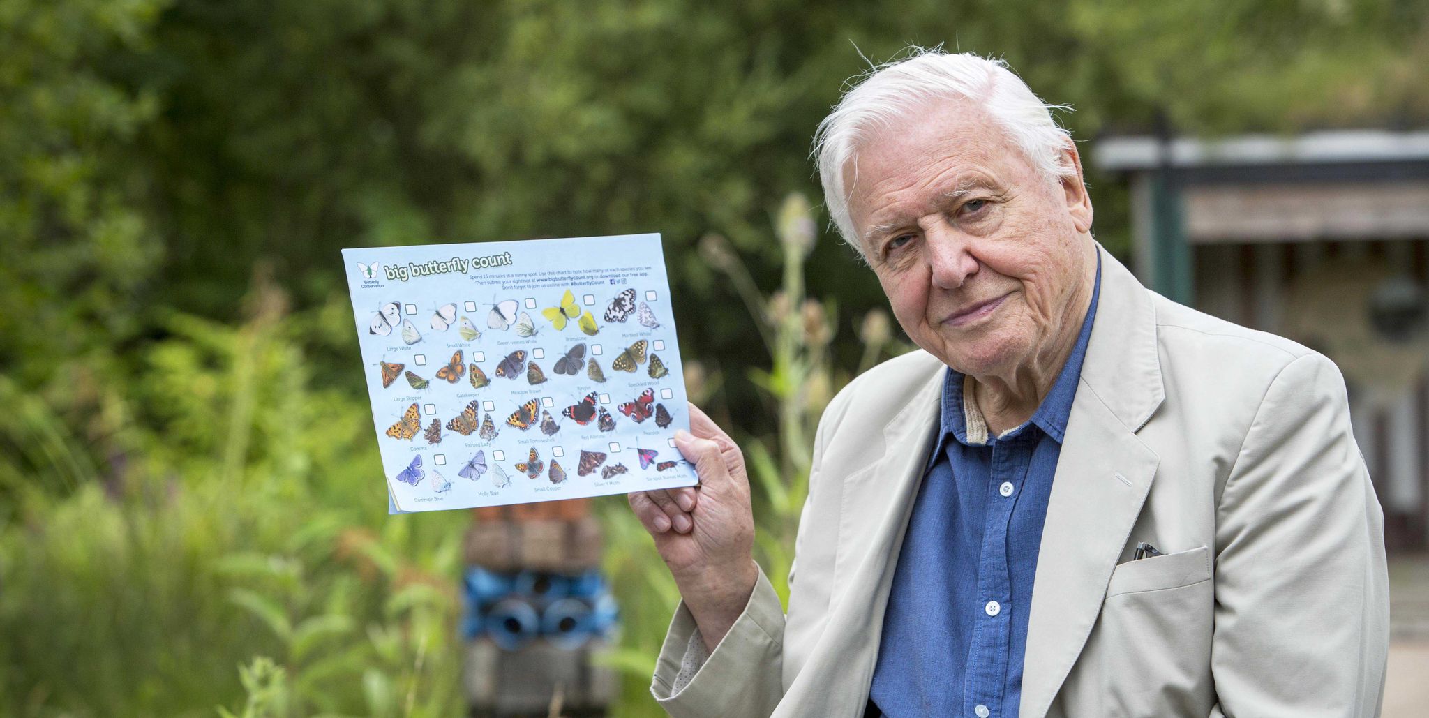 Sir David Attenborough - Butterfly Conservation