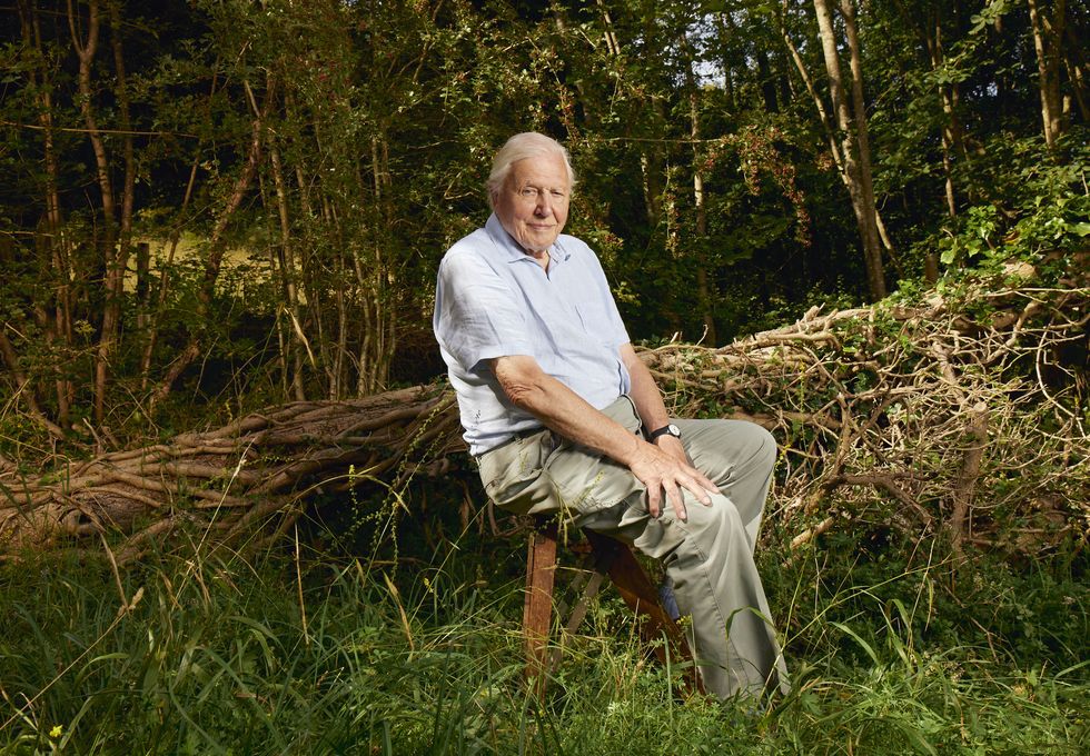 Sir David Attenborough, Planet Erde III