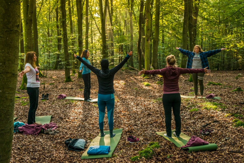 Yoga en mindfulness in het bos