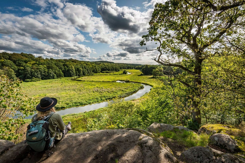 Buiten in de natuur
