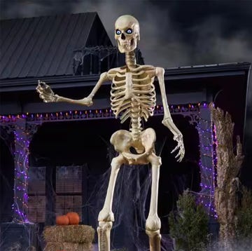 home depot skeleton home depot skeleton
