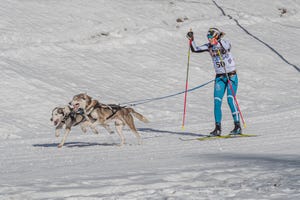 sci di fondo con gli sci