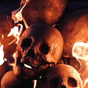 Bone, Skull, Art, Anthropology, Still life photography, Skeleton, Heat, 
