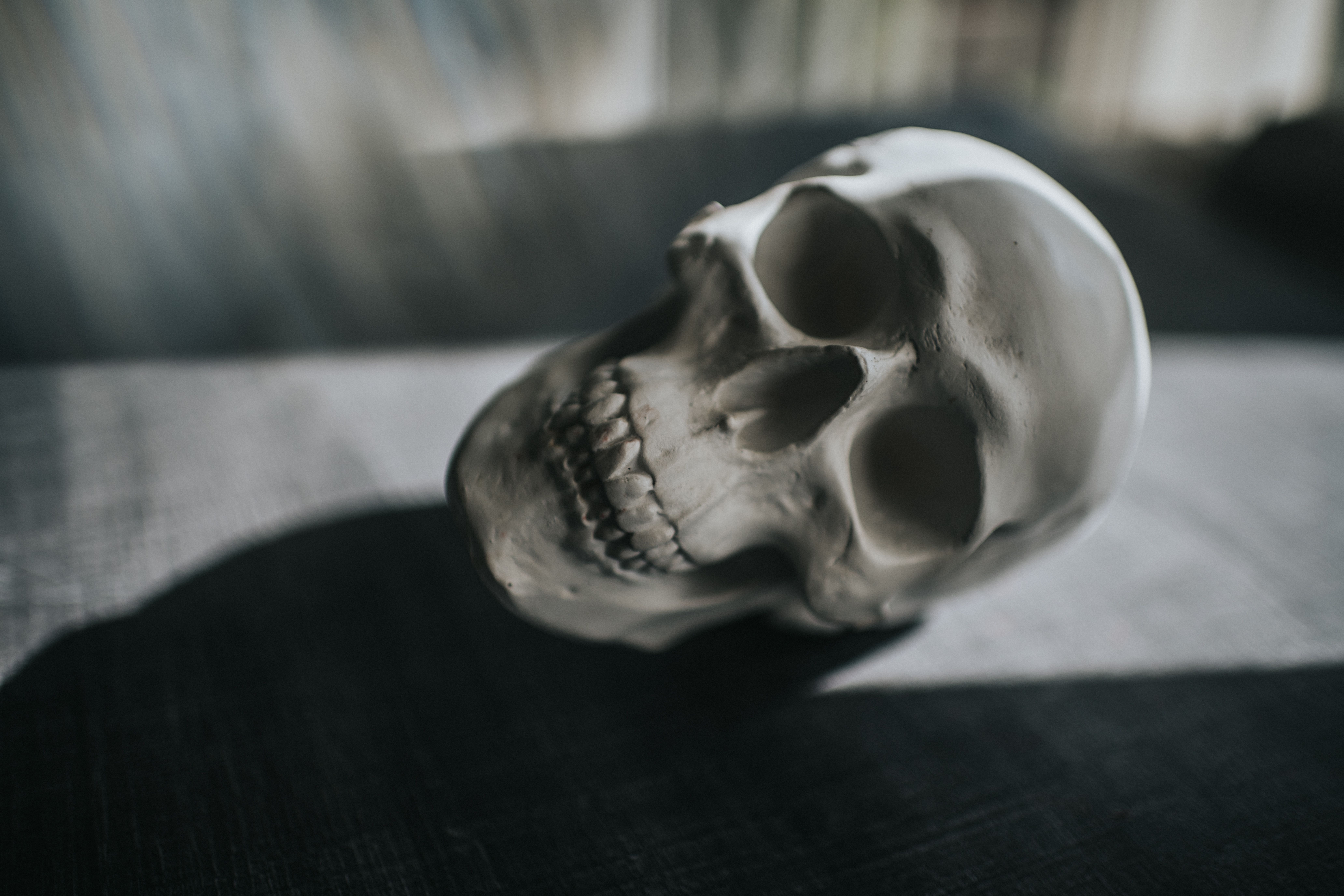 skull-royalty-free-image-1752089457.pjpeg