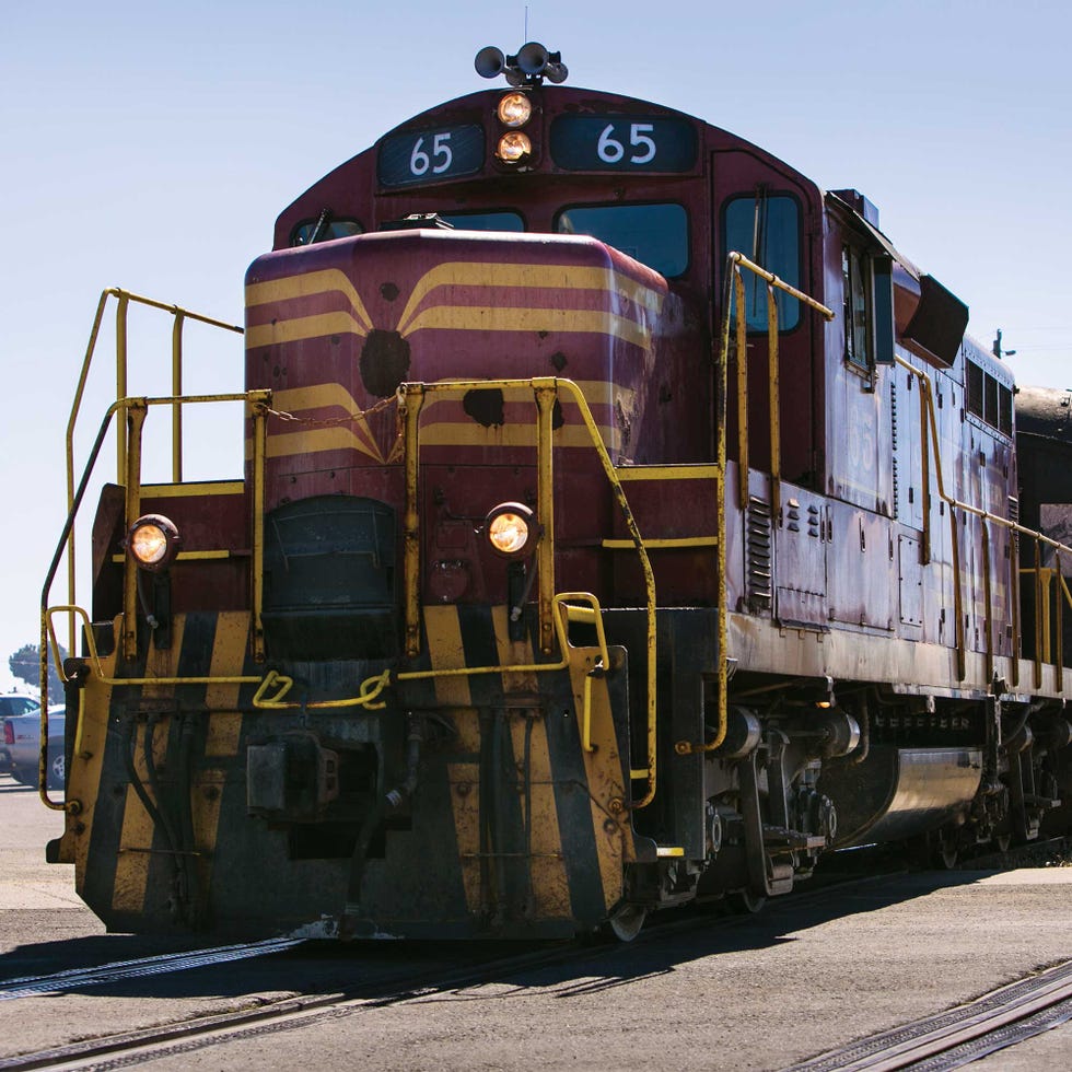 skunk train