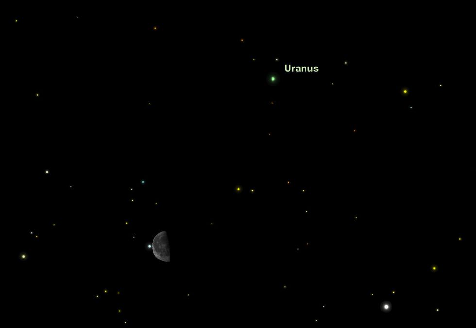 De verre en groenige planeet Uranus zal op 4 augustus met een verrekijker goed te observeren zijn