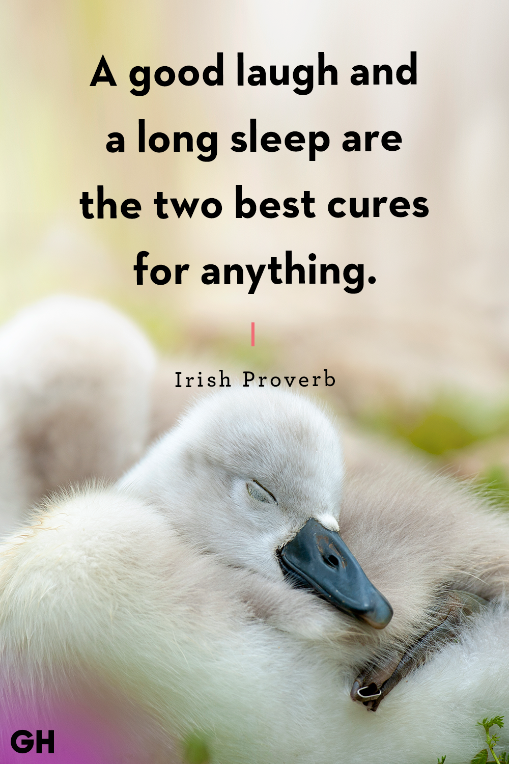 12 Quotes On People Who Just Love to Sleep