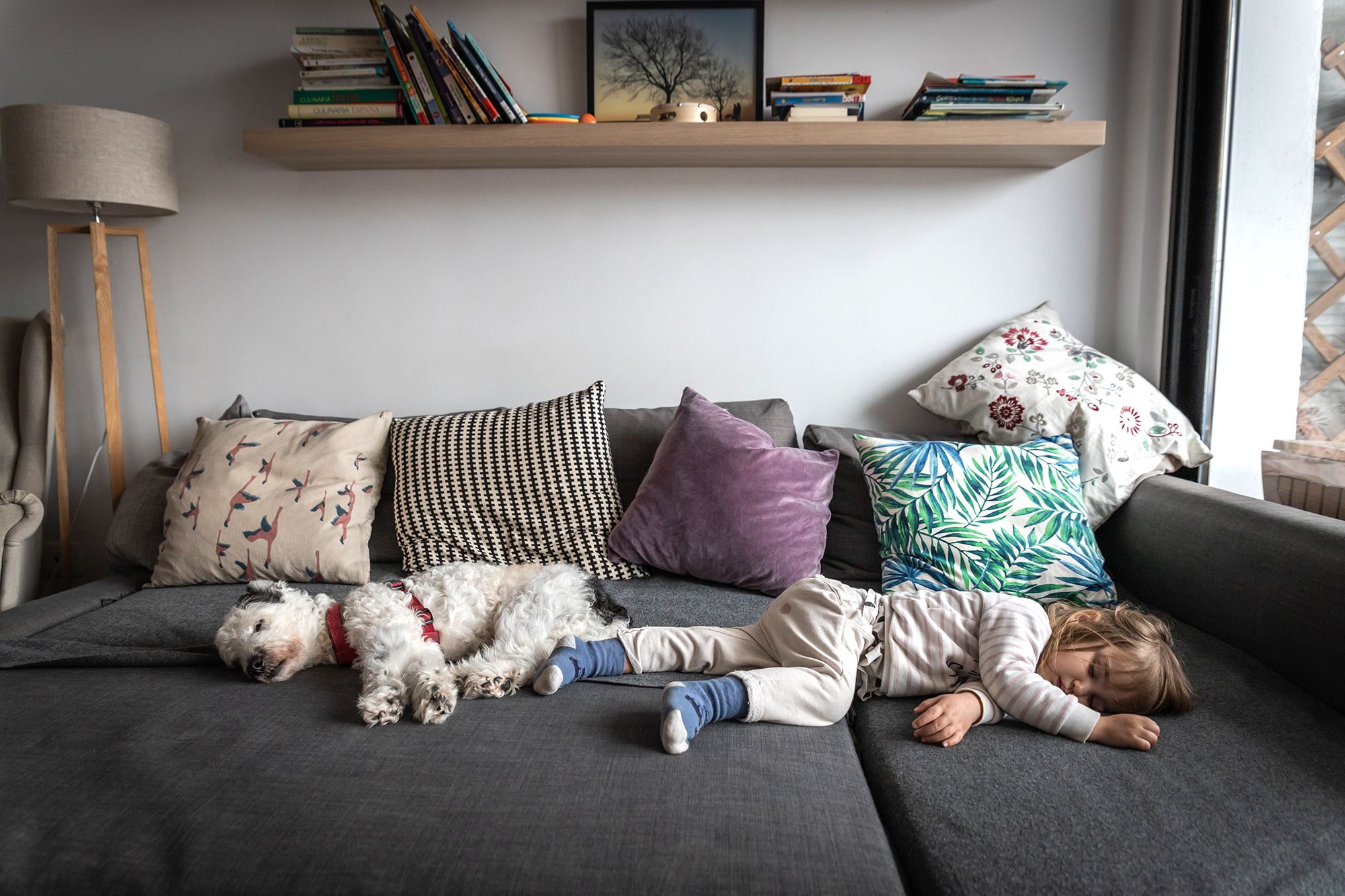 Are Pottery Barn Sleeper Sofas Comfortable For A Cozy Nights Sleep?
