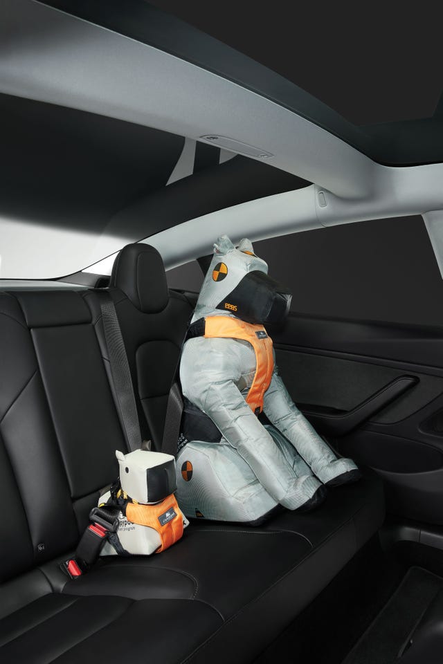 SUV Dog Car Seat Covers - Designer Edition 