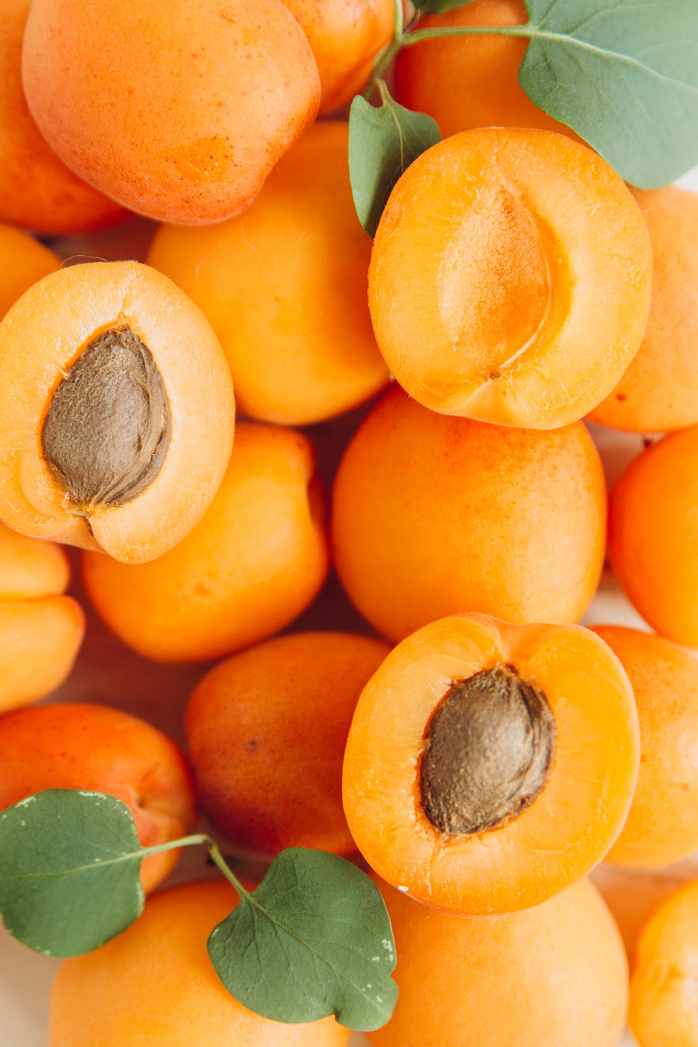 sliced apricots