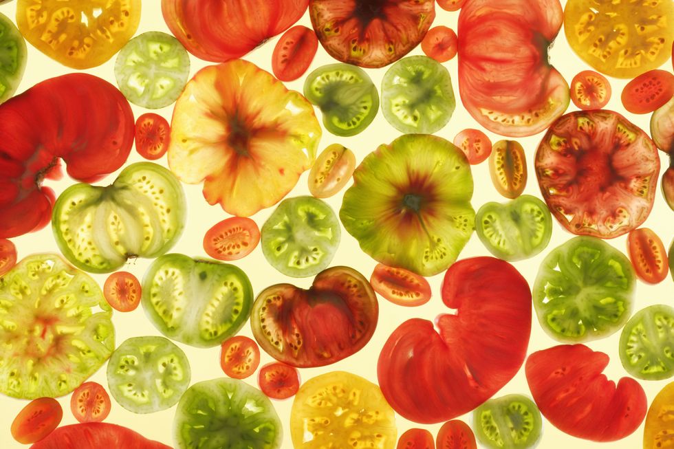slices of various tomatoes on colored background, overhead view, studio shot