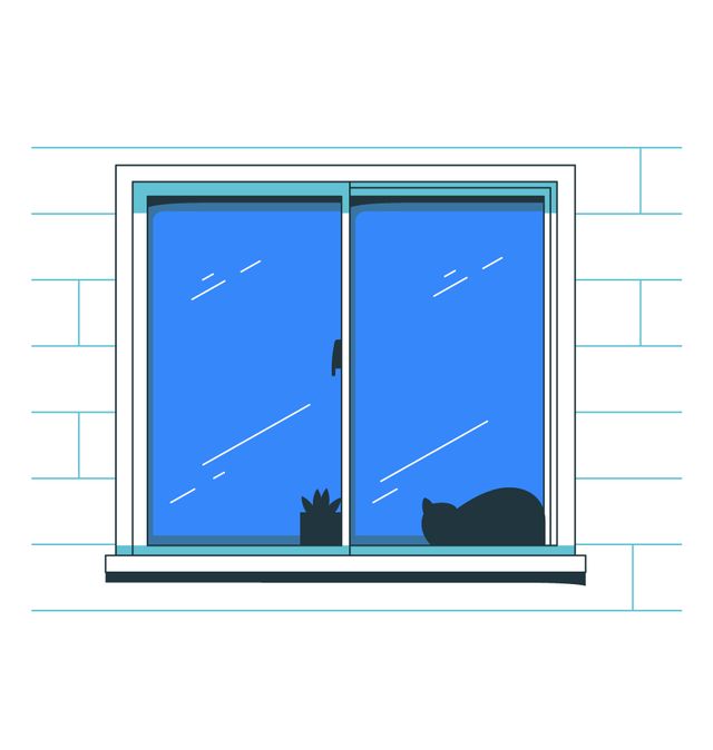 window illustrations