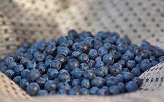 blueberries.jpg