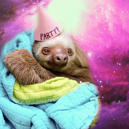 party with a sloth in a blanket