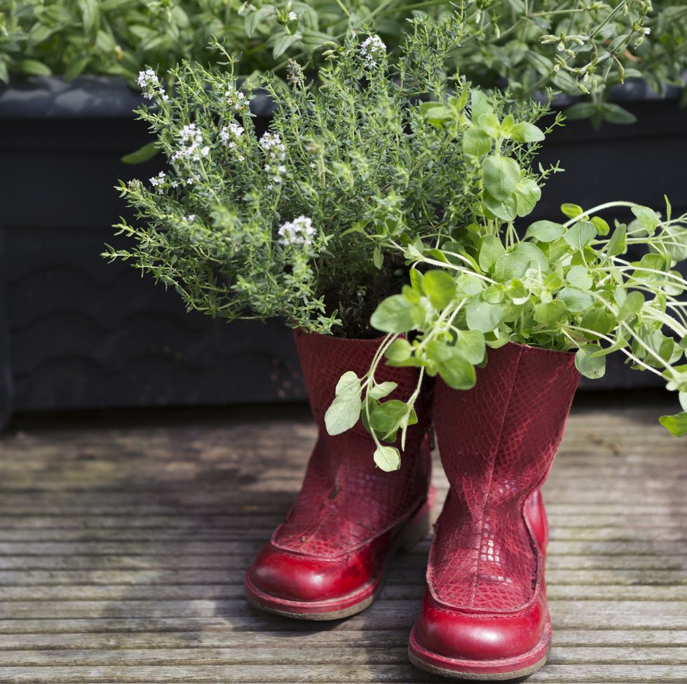 slow gardening repurposed old red boots