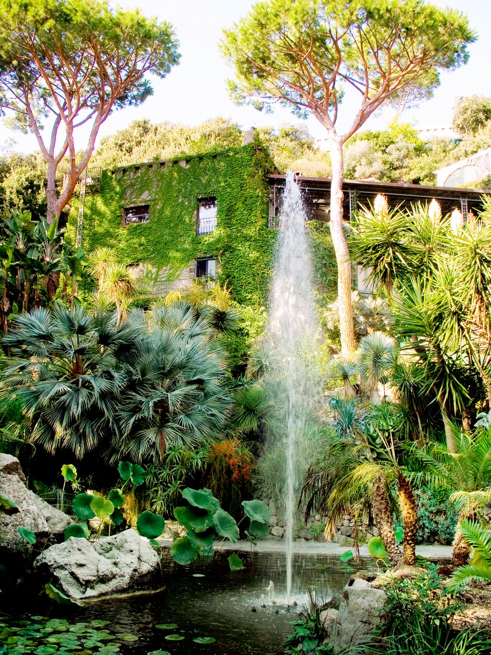 backyard with fountain