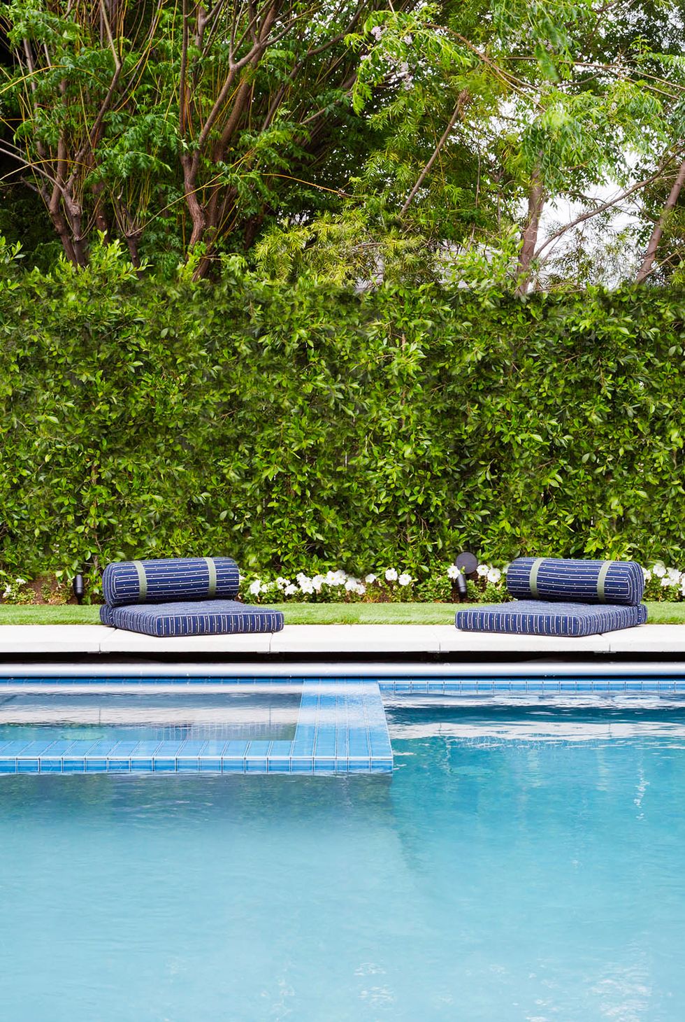 pool with hedge wall and floor cushions behind it