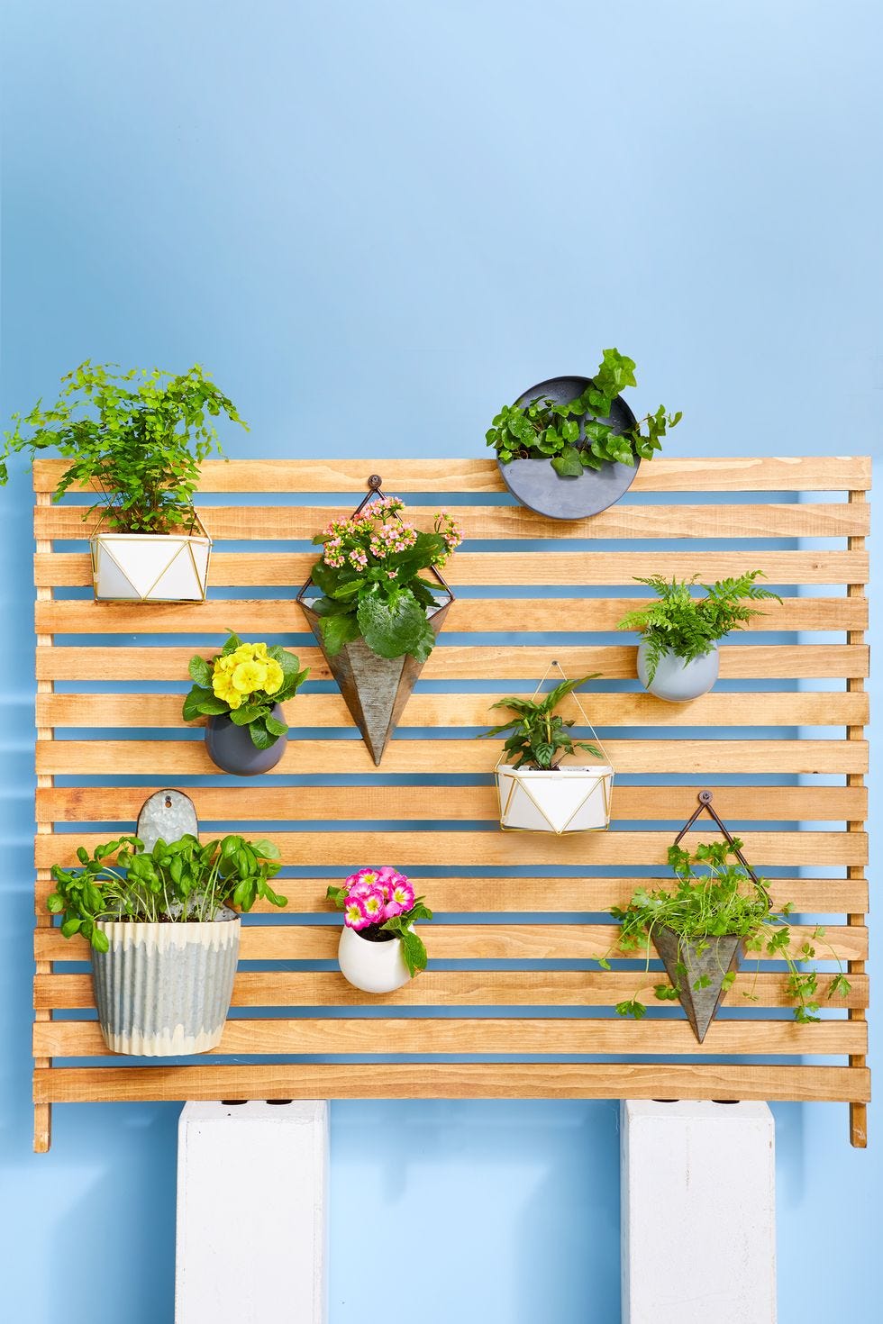 small backyard ideas  plant wall