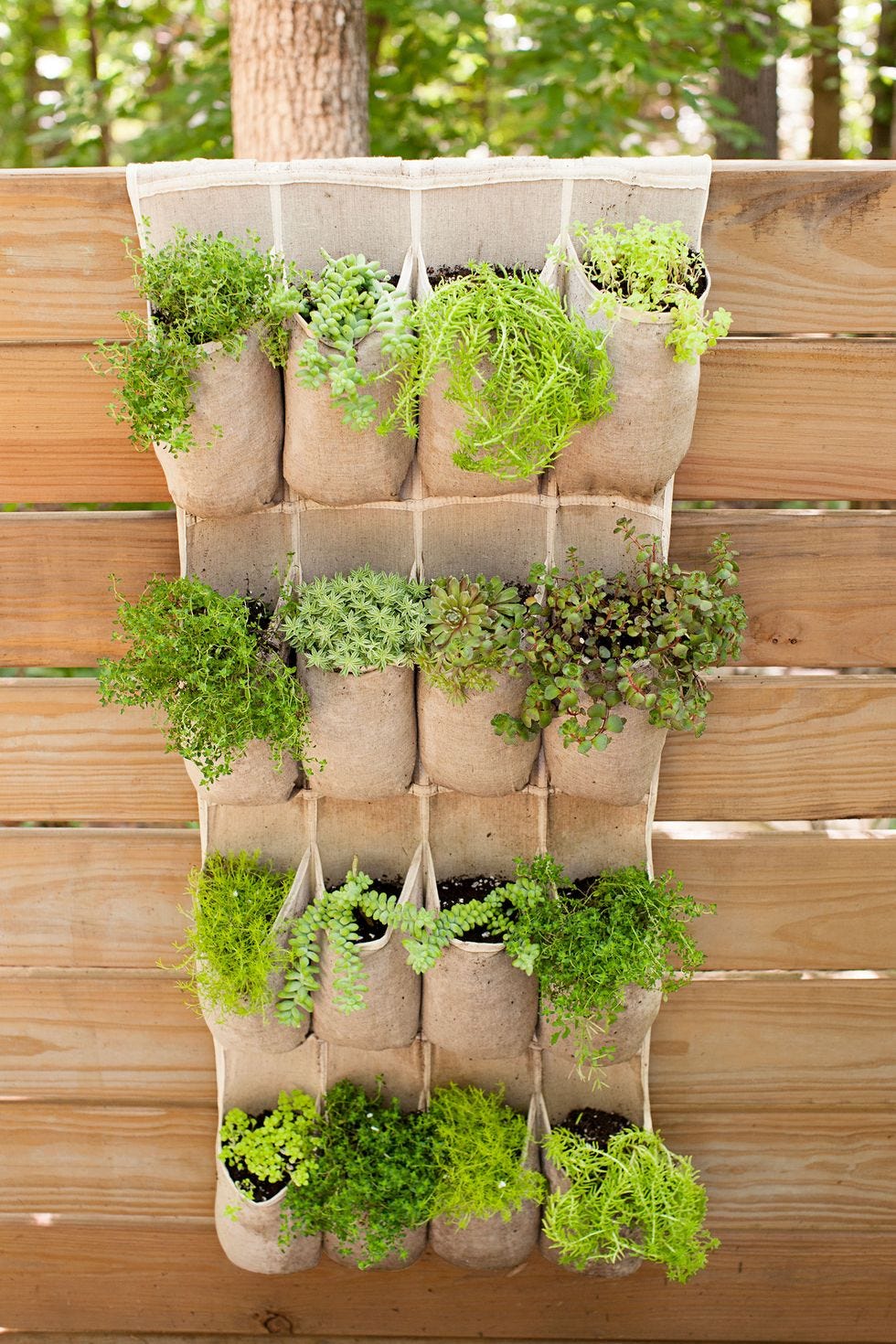 small backyard ideas   pocket planter