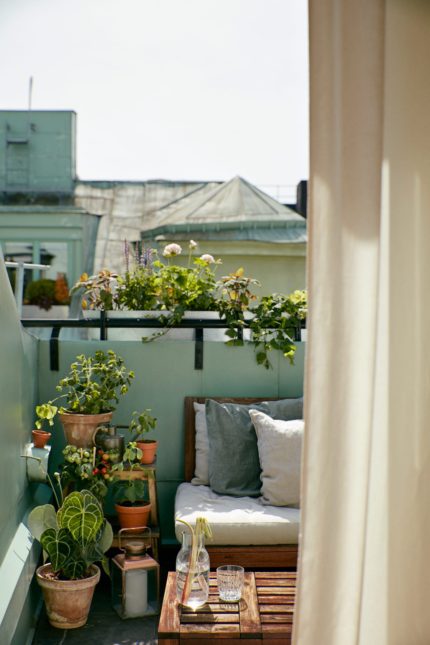 10 Creative Balcony Decor Ideas With Plants To Transform Your Outdoor 