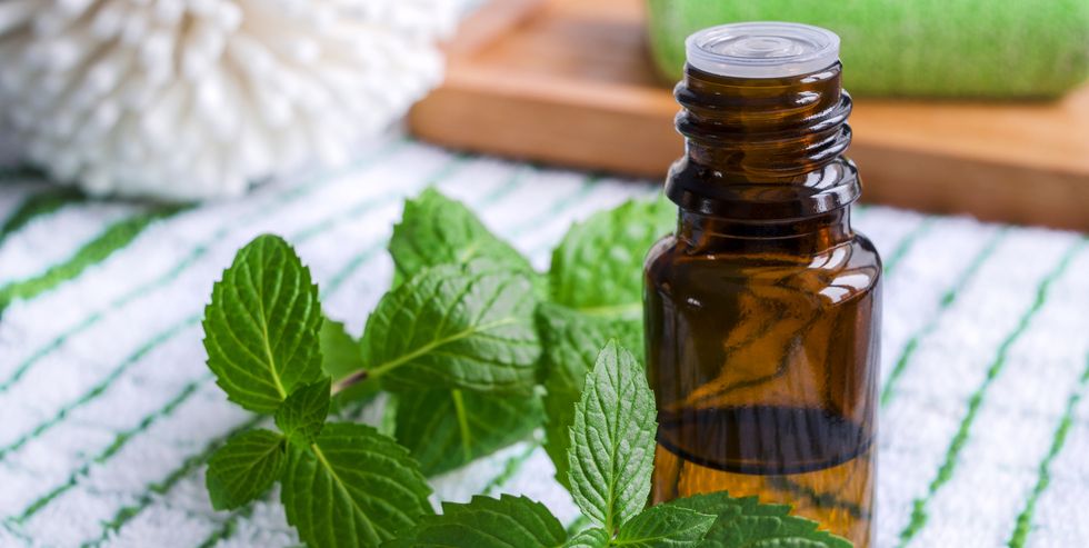 small bottle of essential mint oil