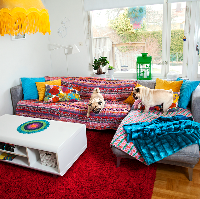 8 Small Apartment Living Room Ideas