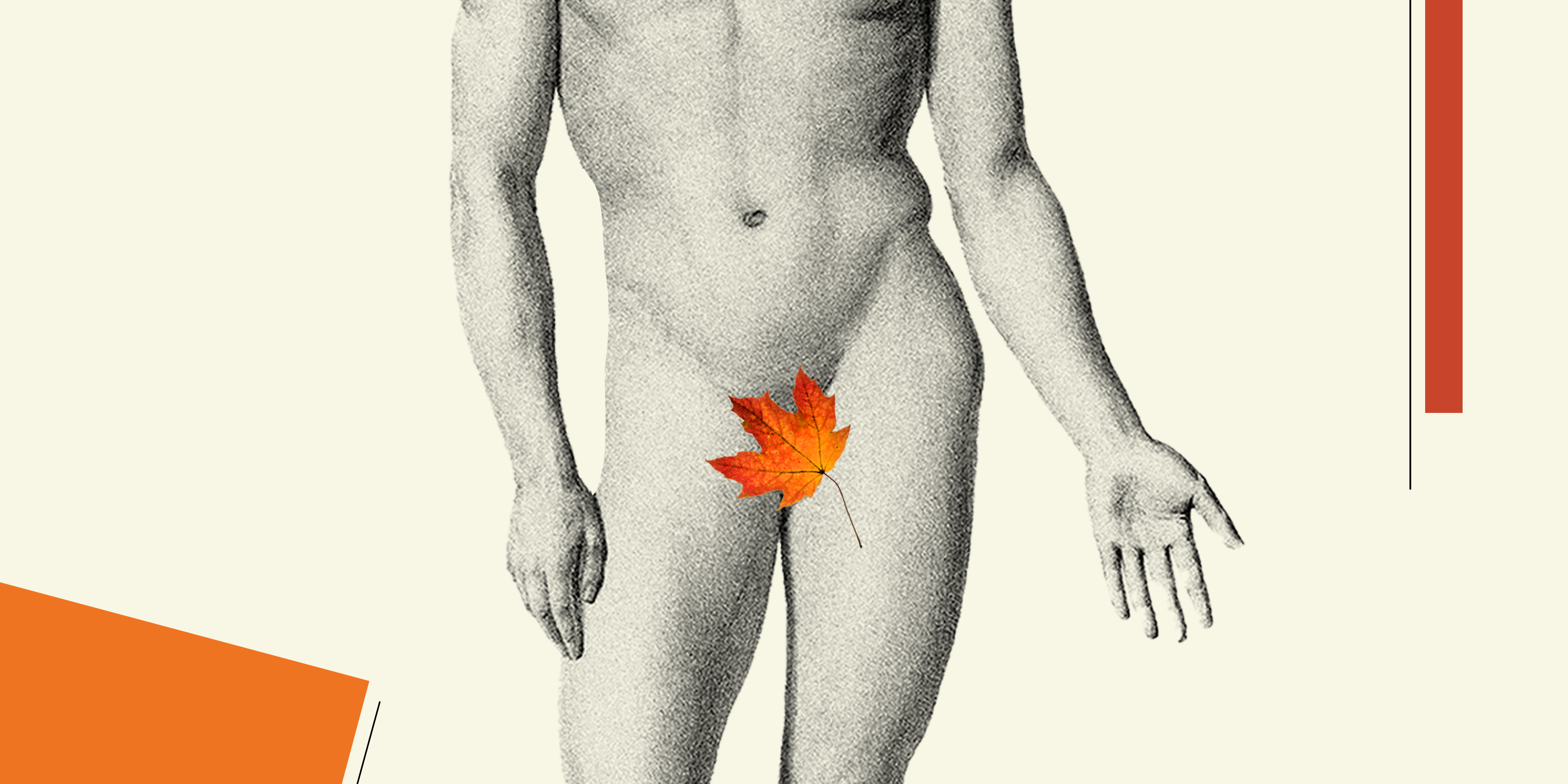 Heres Everything You Need to Know About Small Penis Fall