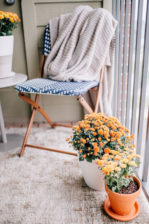 Blue, Yellow, Chair, Orange, Furniture, Table, Room, Flowerpot, Textile, Interior design, 