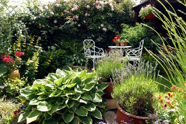 small garden design ideas