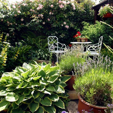 small garden design ideas