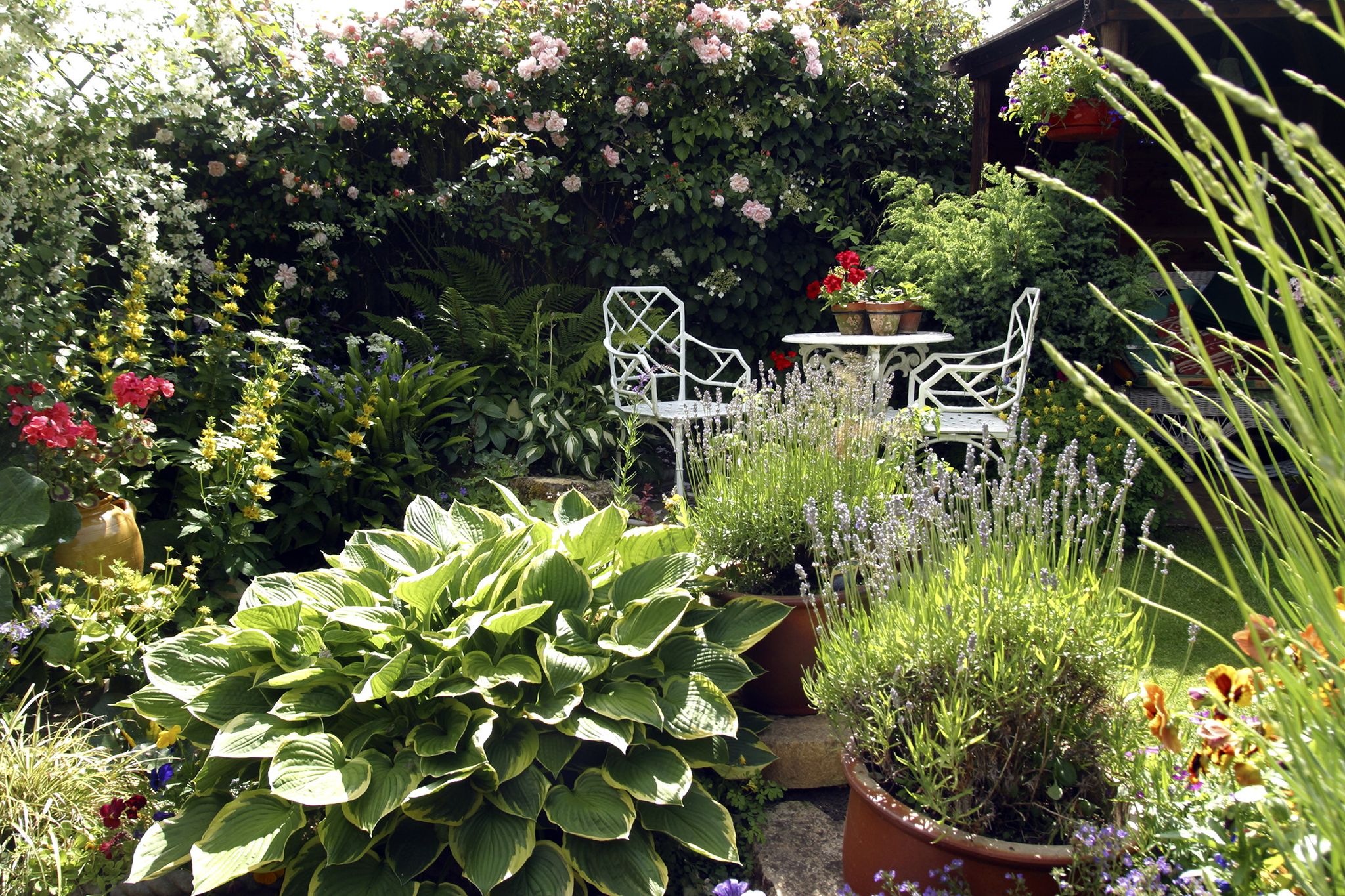Clever Small Garden Design Ideas How