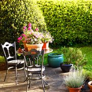 small garden ideas, potted plants and chairs in garden