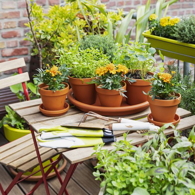 30 Best Small Garden Ideas - Clever Ideas for Small Gardens
