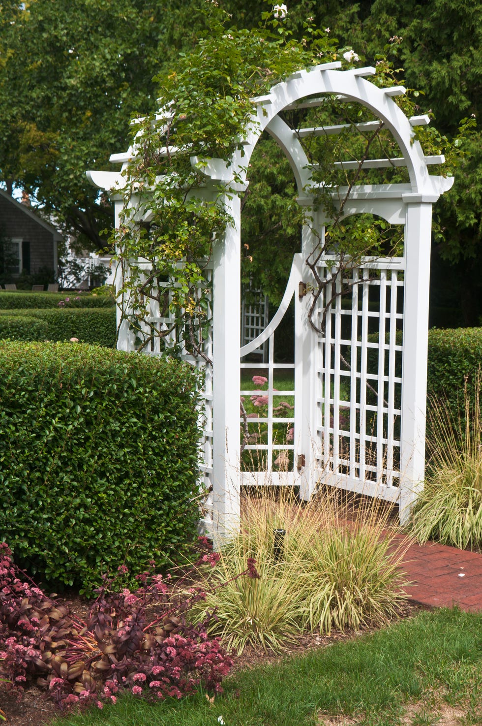 small garden ideas