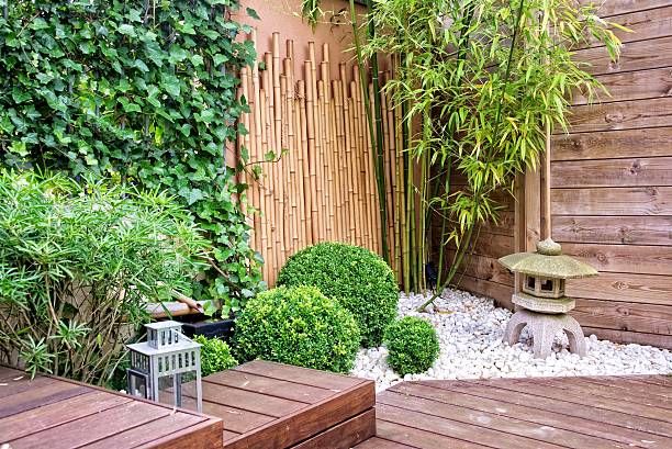 Small Home Garden: Tips for Designing a Small Garden For The House