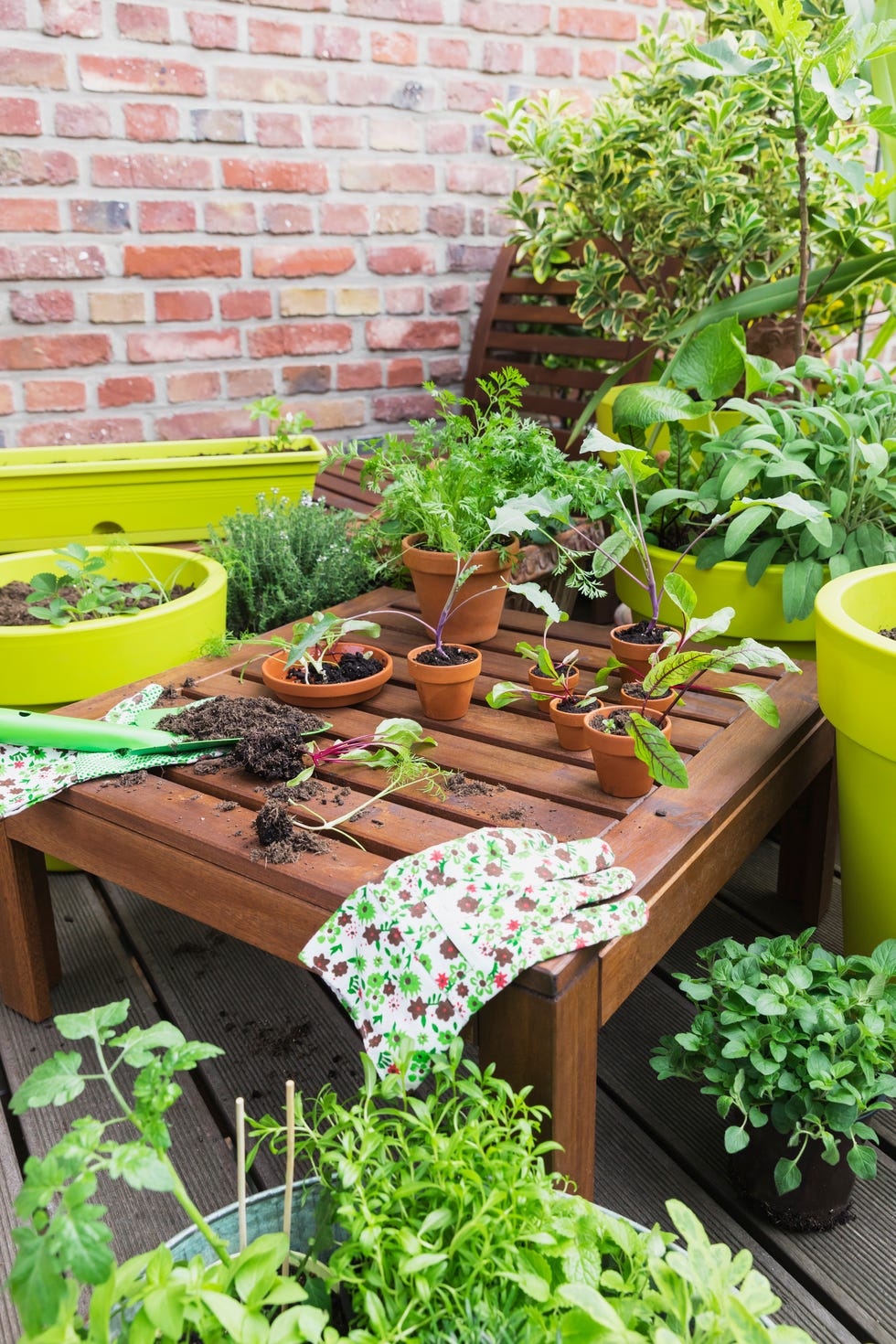 small garden ideas