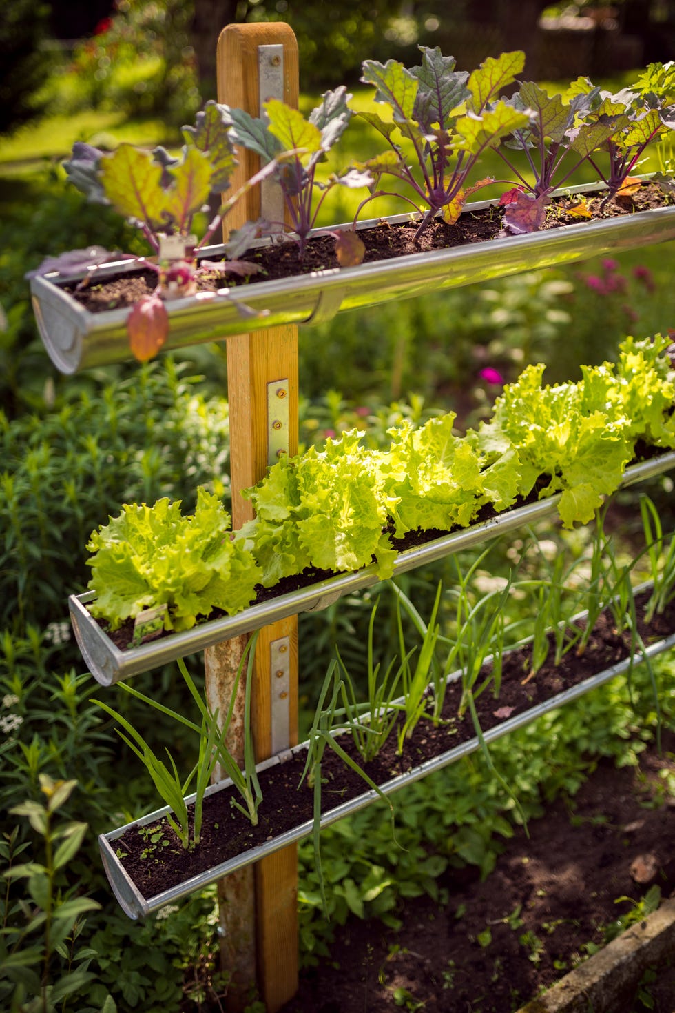 small garden ideas